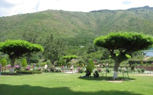Srinagar Chashmeshahi Garden 1