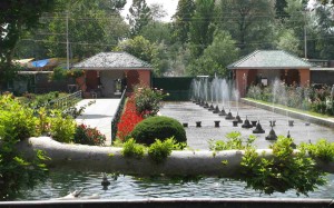 Shalimar Garden 1