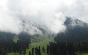 Gandola Stage 2, Afarwat Hill covered with Fog