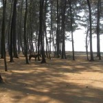 Varsoli Beach 1