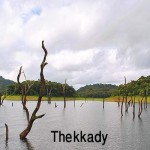 Thekkady 1