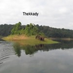 Thekkady 3