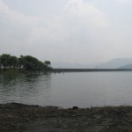 Dhom Dam 8