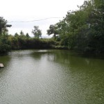 Pond at Sajjangad