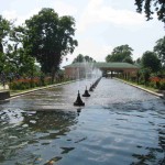 Srinagar Shalimar Garden 2